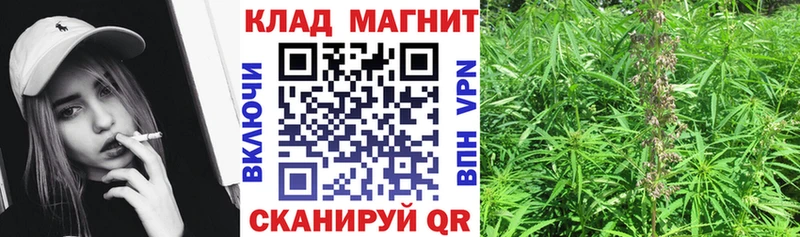 Виды наркотиков купить Злынка A-PVP АМФЕТАМИН Меф