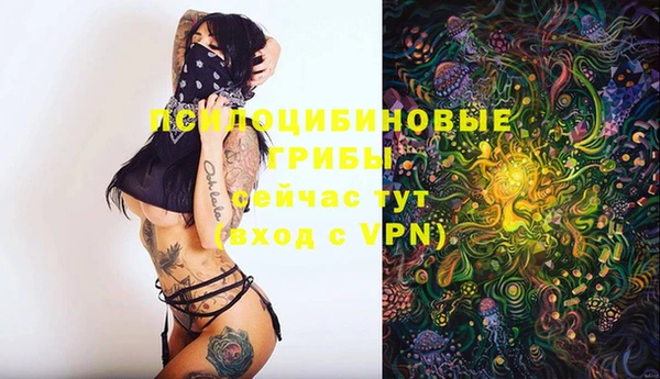 Альфа ПВП Алексеевка