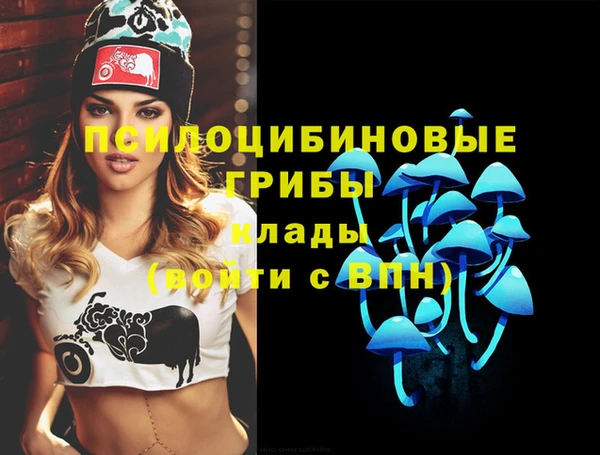Альфа ПВП Алексеевка