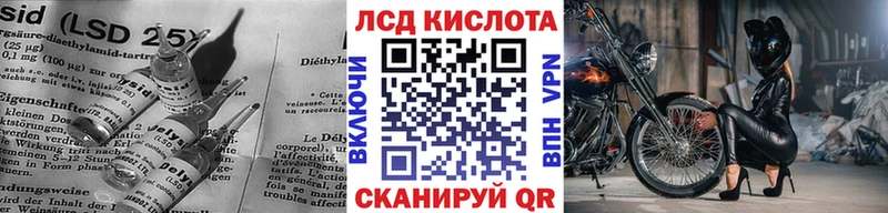ЛСД экстази ecstasy  даркнет сайт  Злынка 
