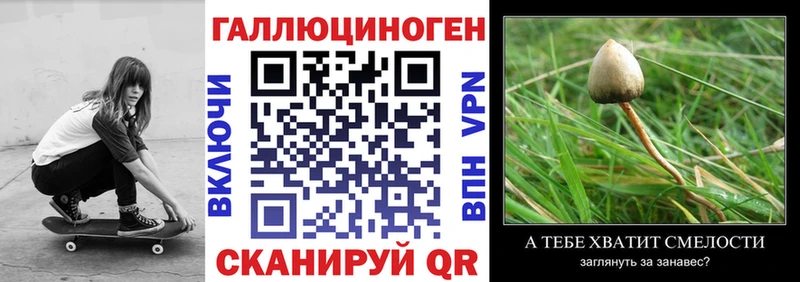 Псилоцибиновые грибы прущие грибы  где купить наркотик  Злынка 