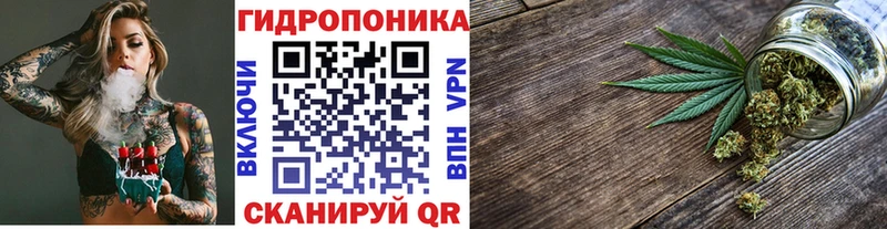 ОМГ ОМГ маркетплейс  Злынка  МАРИХУАНА планчик  цена наркотик 